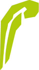 Waldorfelement_Kindergarten