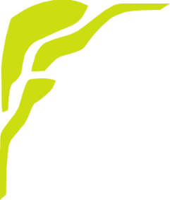 grafisches Element Waldorfelement_1